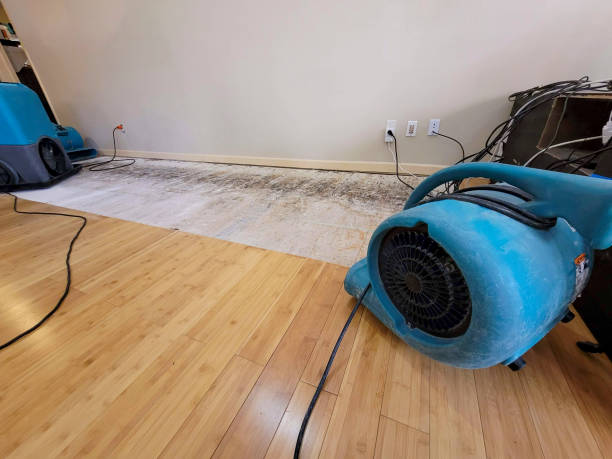 Professional Water Damage Repair technician working in Plymouth, MA
